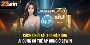 Tài Xỉu 23Win - Trải Nghiệm Cược Đẳng Cấp Nhận Thưởng Lớn